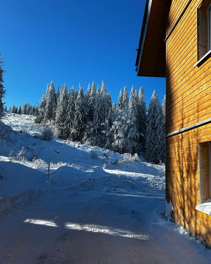 Feldberg Apartment - Direkt An Der Skipiste - Mit Sauna Feldberg (Baden-Wurttemberg) Exterior foto