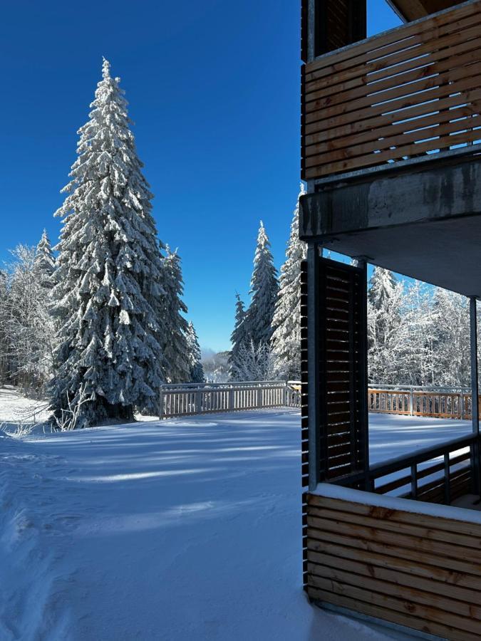 Feldberg Apartment - Direkt An Der Skipiste - Mit Sauna Feldberg (Baden-Wurttemberg) Exterior foto