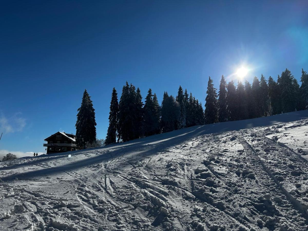 Feldberg Apartment - Direkt An Der Skipiste - Mit Sauna Feldberg (Baden-Wurttemberg) Exterior foto