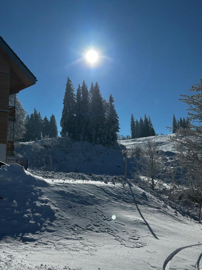 Feldberg Apartment - Direkt An Der Skipiste - Mit Sauna Feldberg (Baden-Wurttemberg) Exterior foto