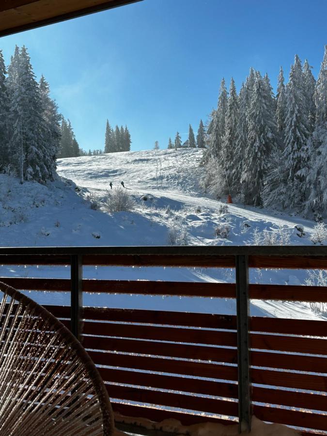 Feldberg Apartment - Direkt An Der Skipiste - Mit Sauna Feldberg (Baden-Wurttemberg) Exterior foto